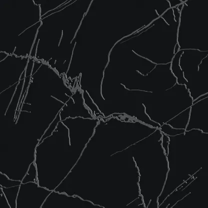 Imagen de TURIM BLACK