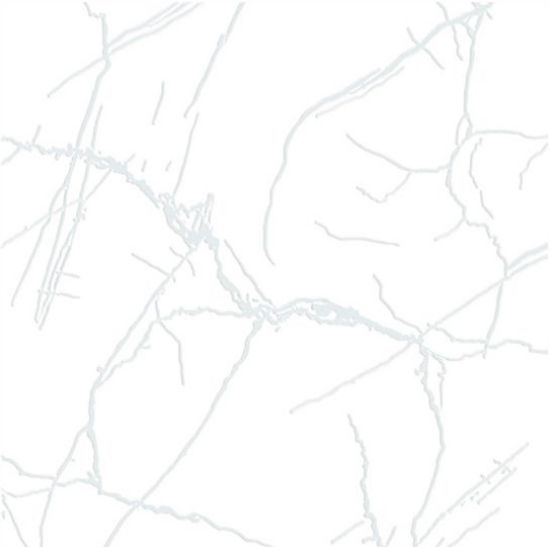 Imagen de TURIM WHITE