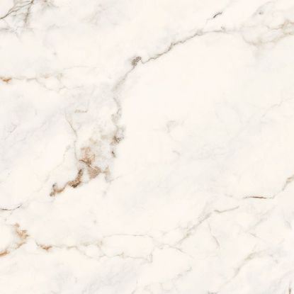 Imagen de SATVARIO DANIEL (AGOTADO)