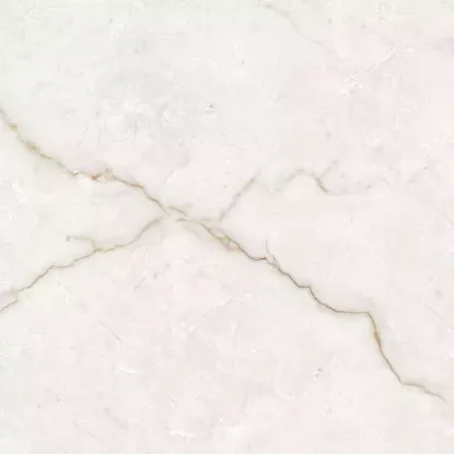 Imagen de TORSO GOLD (AGOTADO)