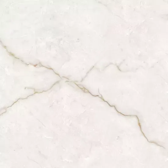 Imagen de TORSO GOLD (AGOTADO)