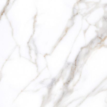 Imagen de CARLOS SATVARIO (AGOTADO)