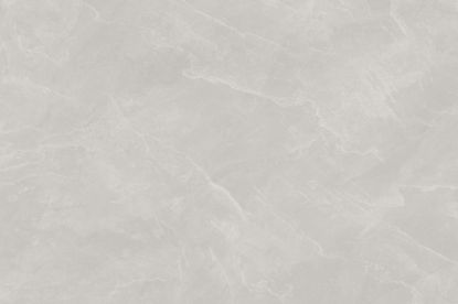 Imagen de ARCHIE BIANCO