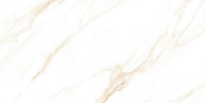 Imagen de SWIZER GOLD