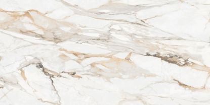 Imagen de SATVARIO PORSCHE (AGOTADO)