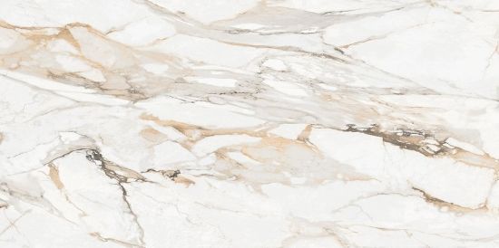 Imagen de SATVARIO PORSCHE (AGOTADO)