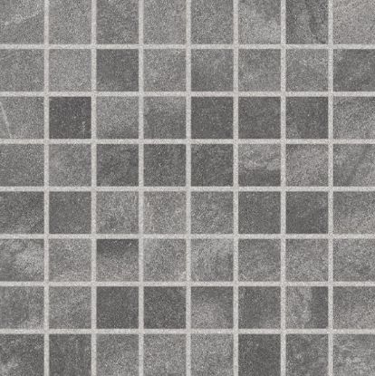 Imagen de ARGOS GRIS