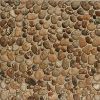 Imagen de AMAZONAS BEIGE